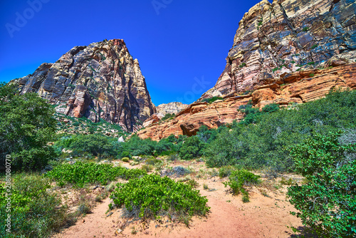 Red Rock Canyon Cliffs and Desert Vegetation Under Bright Blue Sky