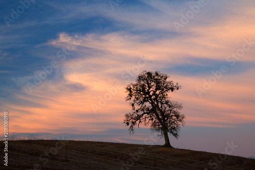 Billede på lærred Oak dawn, Ankeny National Wildlife Refuge, Oregon