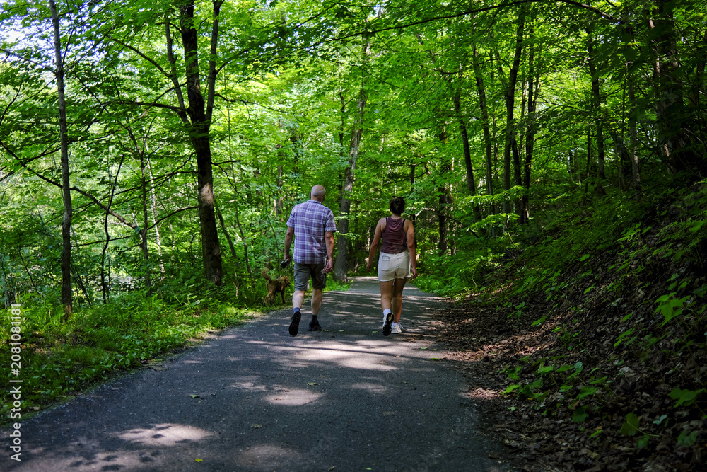 Fototapeta premium Un couple et un chien dans un sentier boisé, Québec, Canada.