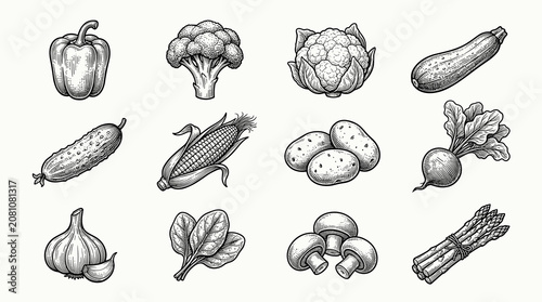 Farm Fresh Garden Vegetables Clipart Collection in Vintage Black and White Hand-Drawn Engraving Style