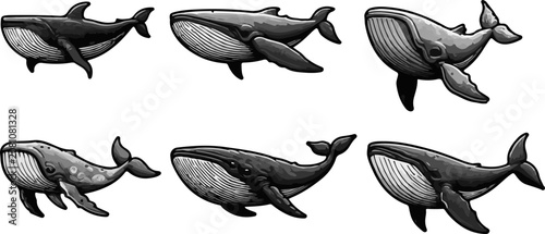Photography Vector sketch illustration silhouette design collection of sea fish characters b