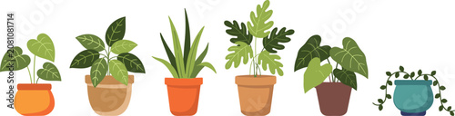 Φωτογραφία Collection of six distinct potted houseplants with various leaf shapes and color