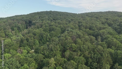 Aerial view of a winding forest path surrounded by lush green trees