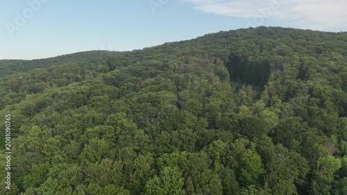 Aerial view of a winding forest path surrounded by lush green trees