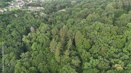 Aerial view of a winding forest path surrounded by lush green trees