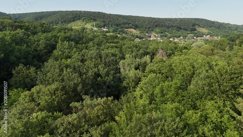 Aerial view of a winding forest path surrounded by lush green trees