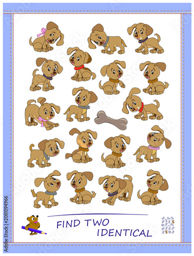 Can you find two identical puppies? Logic puzzle for children and adults. Find and search game. Page for kids brain teaser book. Developing spatial thinking. IQ test. Hand drawn vector illustration.