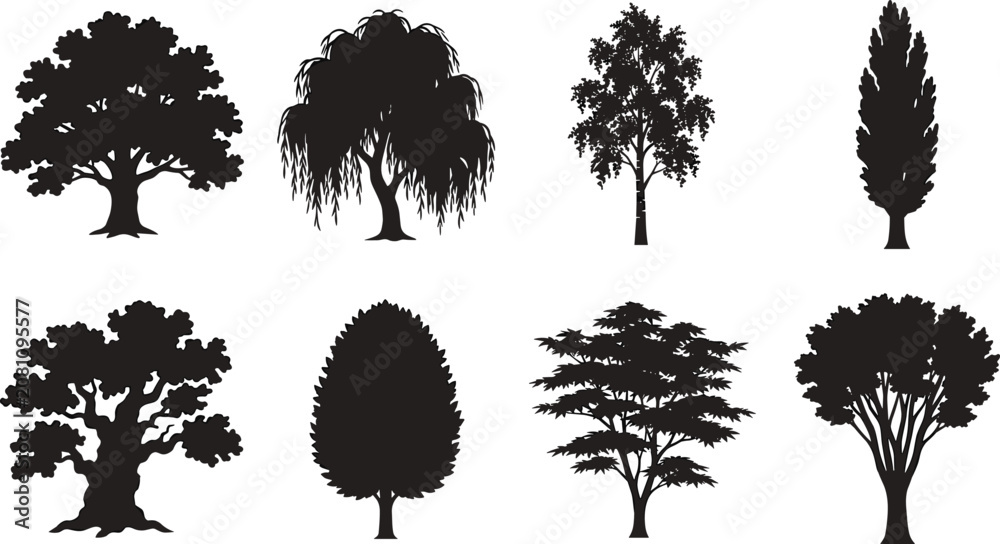 Fototapeta premium Collection of Tree Silhouettes Vector Set Isolated Nature and Forest Elements
