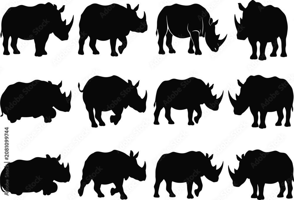 Fototapeta premium Black Rhinoceros Silhouette Collection with Multiple Poses for Wildlife Vector Design