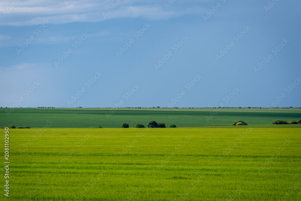 Naklejka premium Storm clouds gathering over a wide green field, creating a dramatic natural landscape