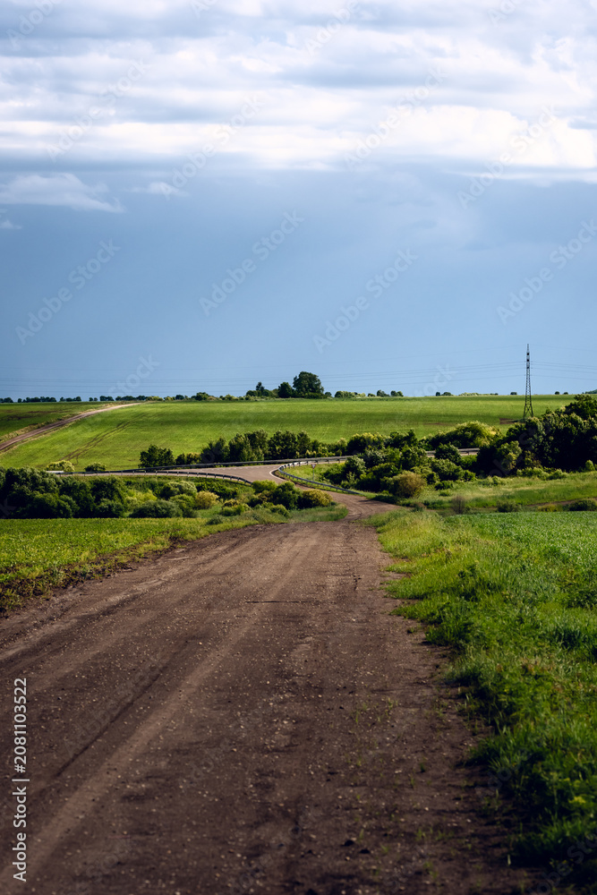 Fototapeta premium Dirt road winding through lush green fields under a partly cloudy rural sky