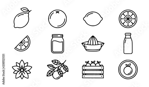 Photos Fresh citrus fruits vector icon set with simple bold line art classic complete l