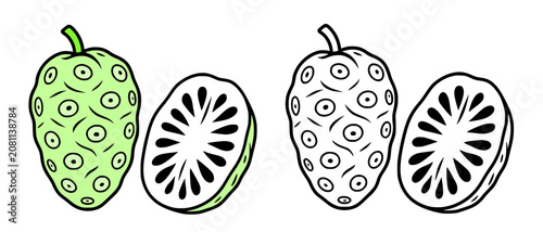 Tableau sur toile Minimalist icon of noni fruit, line art and colored illustration, for coloring p