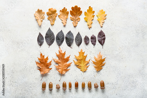 Beautiful autumn leaves wit...