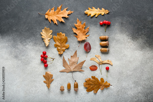 Beautiful autumn leaves wit...