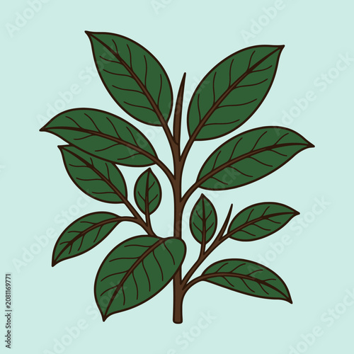 A simple illustration of a green leafy plant branch