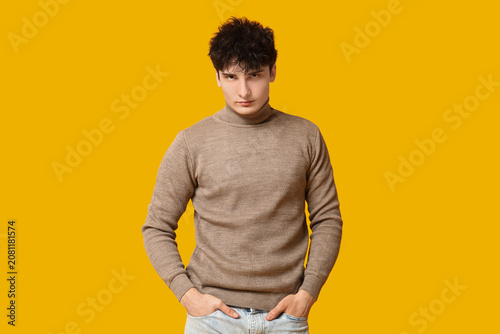 Handsome young man in styli...