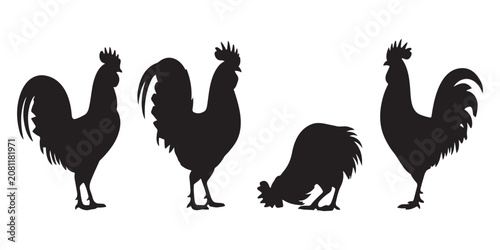 Photos Group of rooster silhouettes in various poses including standing and pecking for rural agriculture design work