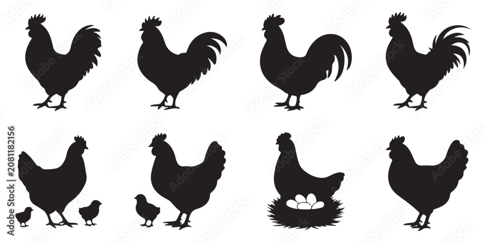 Obraz premium Chicken and chicks silhouette, hen with eggs, farm family group, proud rooster, rural life.