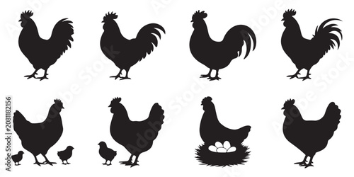 Chicken and chicks silhouette, hen with eggs, farm family group, proud rooster, rural life.