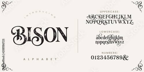 Bison decorative display font with vintage sketch style perfect for rustic and classic designs