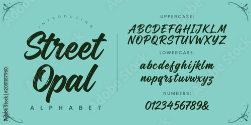 Quadro su tela Street Opal script font handwritten brush style for feminine luxury branding and