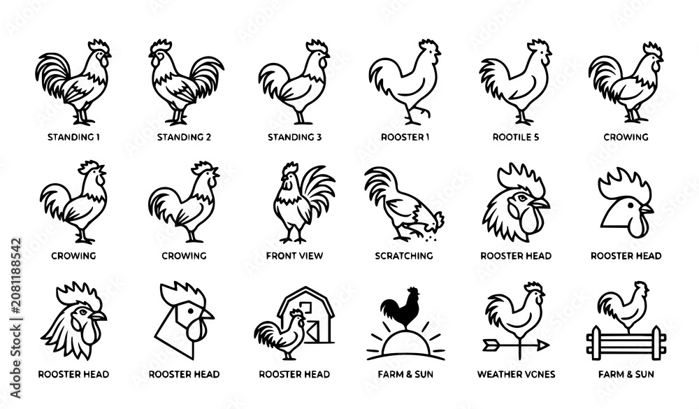Fototapeta premium Rooster outline icons vector minimalist poultry pack