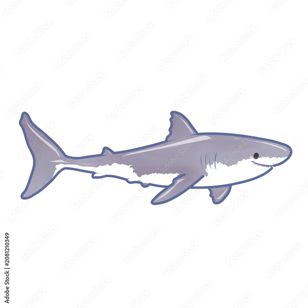 Fototapeta premium Slender shark cartoon character side view illustration