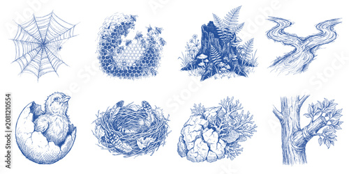 Nature Recovery Graphic Elements Collection with Restored Nest Coral Reef Forest Regrowth and Ecological Restoration