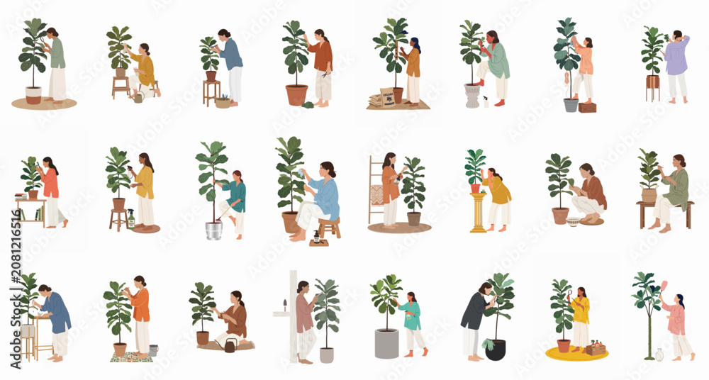 Obraz premium Flat illustration collection of diverse women caring for fiddle leaf fig indoor plants, performing various maintenance tasks like watering, pruning, and cleaning.