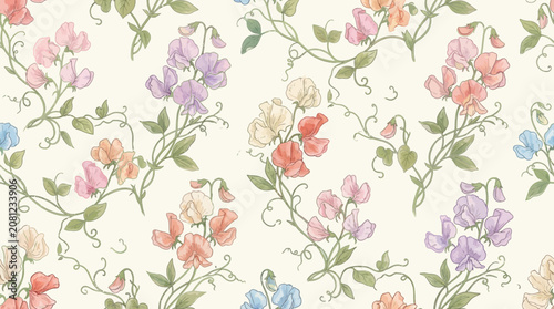 Colorful flowers on white background.