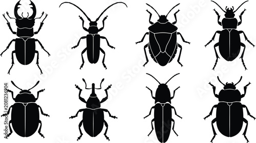 Foto Beetle Insect Silhouette Set with Stag Beetle Weevil Longhorn and Shield Bug Col