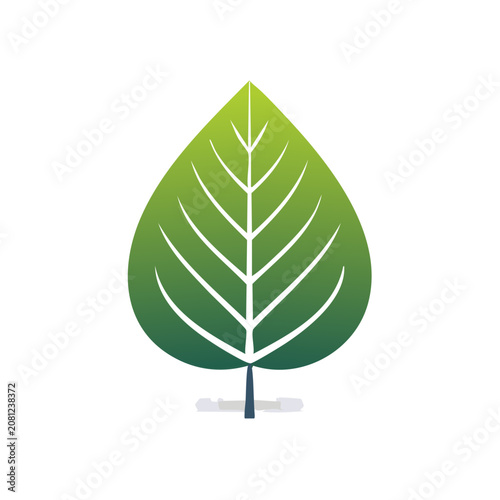 Green leaf with veins and stem vector illustration