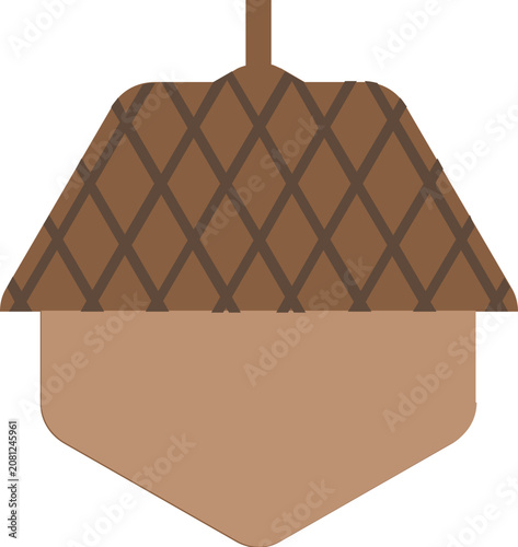 vector illustration of a acorn oak seed