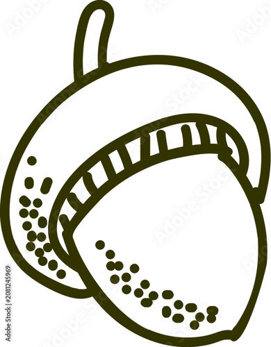 hand drawn Acorn seed in black color line art style