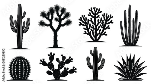 Photos Adobe Illustrator Artwork