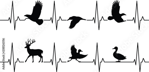 Fotografie Vector silhouettes of hunting heartbeat lines, wildlife animals including deer a