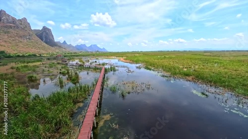 panoramic view from the tower of the lake overgrown with bushes and a view of the bridge