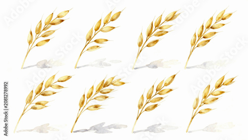 Tableau sur toile Field Oat Stalks in Rows isolated watercolor vector illustration svg