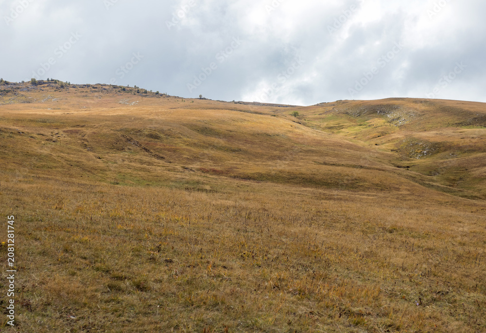 Fototapeta premium a stone plateau in an alpine area during the autumn season, with dried plants and signs of late autumn