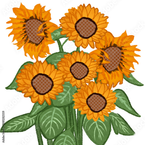 Illustration of a bunch of sunflowers with their stems and leaves (summer element)