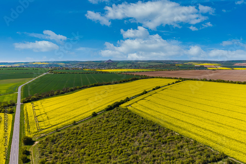 Foto A view of a blooming rapeseed field in May