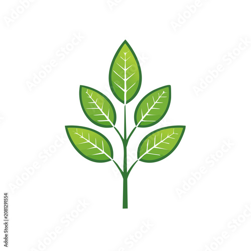 Green leaf with stem vector illustration
