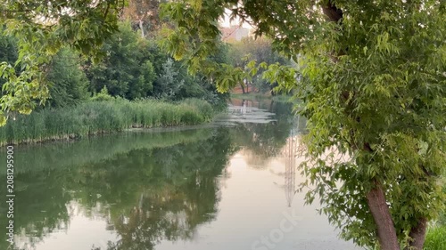 pond in the park