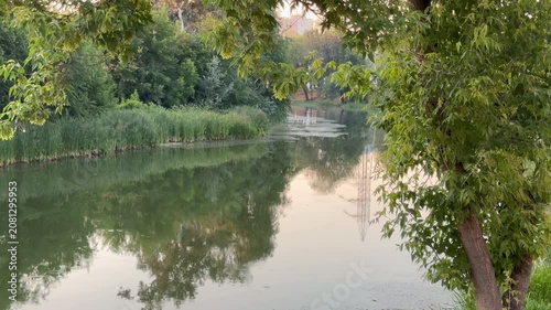 reflections in the water