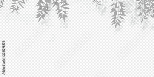 Принти на полотні soft shadows of plant leaves on transparent background shade foliage shadow effe