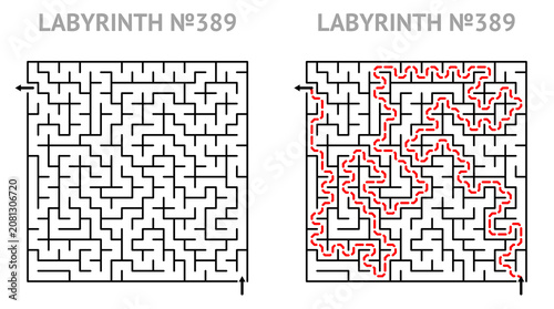 Solved maze vector 21x21 with answer. Labyrinth game grid for teens. Maze challenge with answers. Medium level.