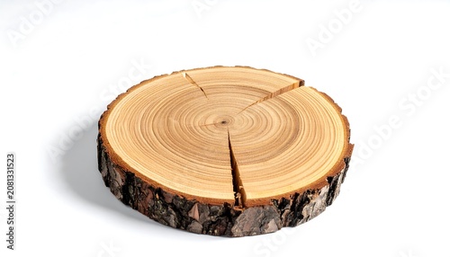 Close-up of a cut tree trunk with visible grain, annual rings, cracks, and bark against white