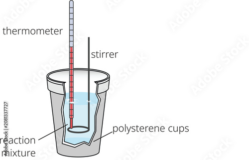 Coffee Cup Calorimeter Heat Measurement Experiment Vector Illustration