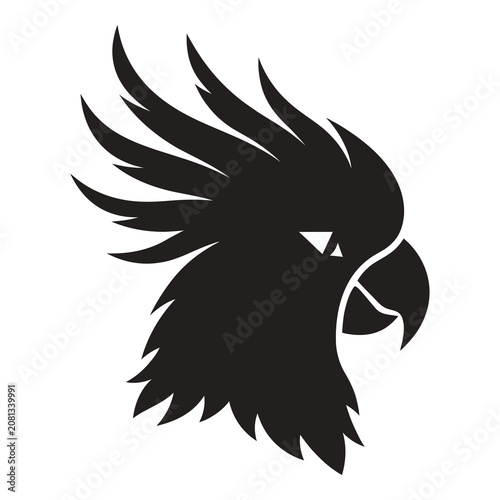 Black silhouette of eagle head with feathers and sharp beak profile view icon